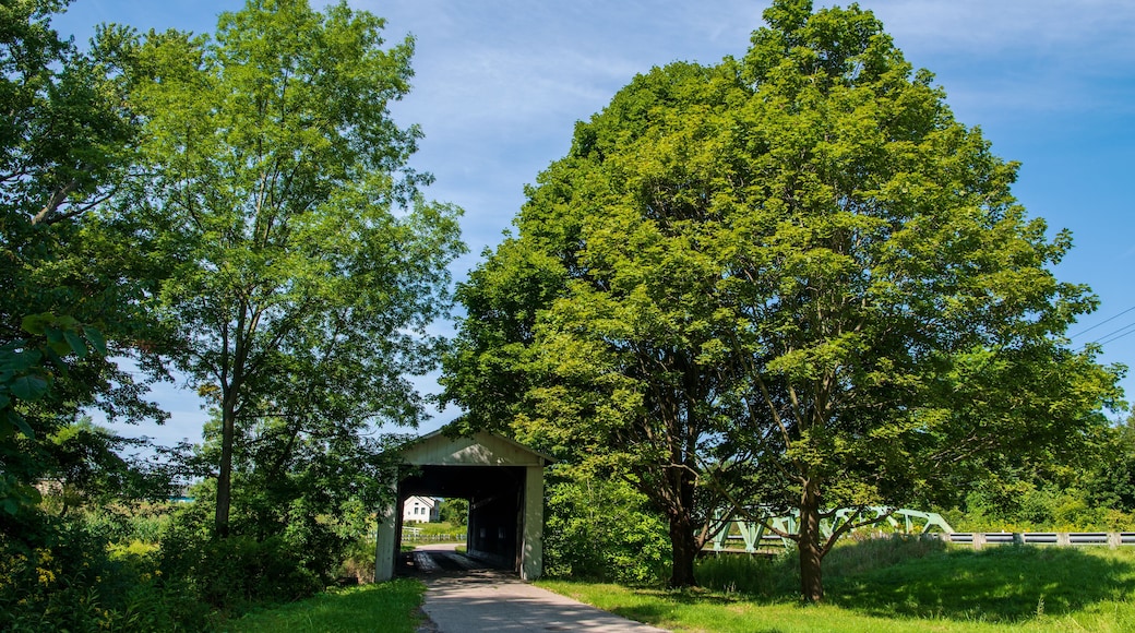 South Denmark Road Covered Bridge in Ashtabula County, Ohio