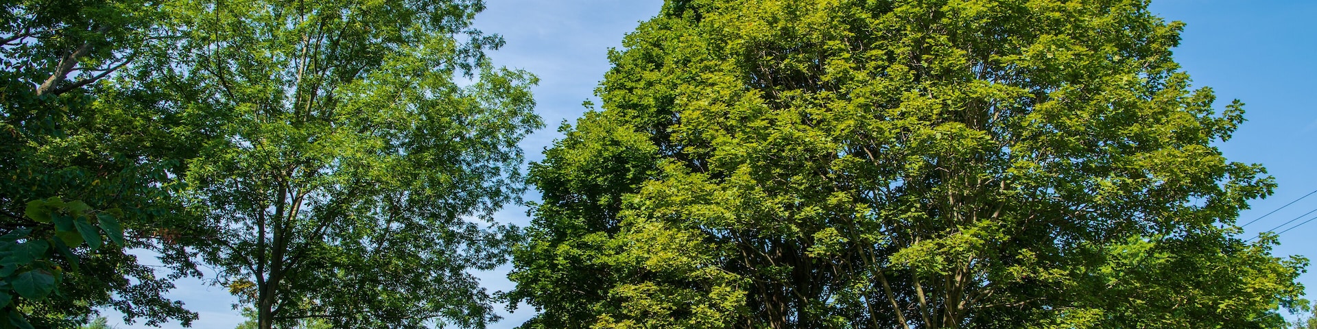 South Denmark Road Covered Bridge in Ashtabula County, Ohio
