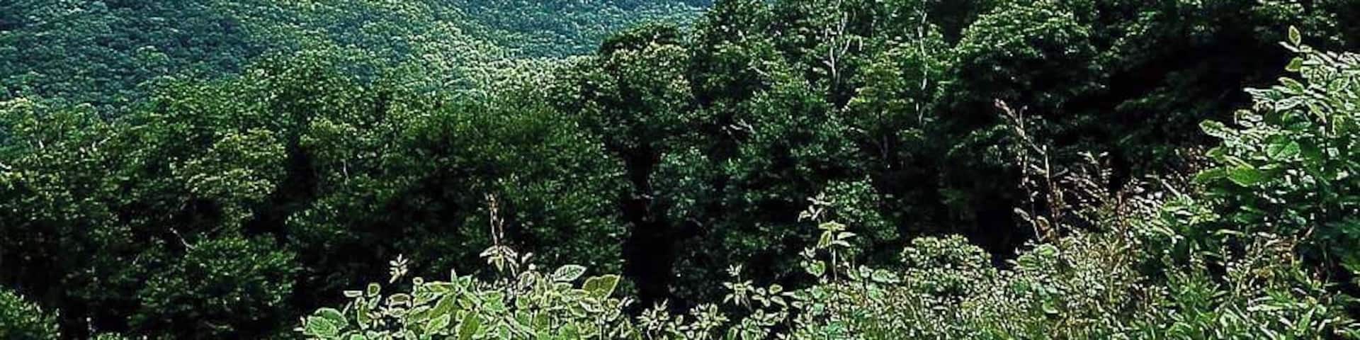 Up on the magical parkway...