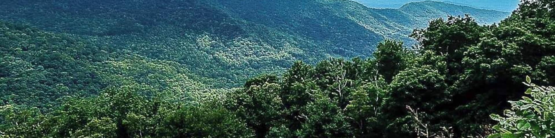 Up on the magical parkway...