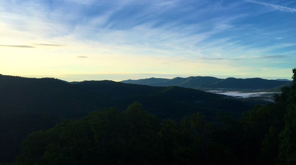 Parkway beauty #GoldenHour