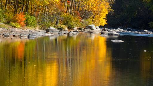 Vivid fall foliage reflects on the Farmington River, Canton, Connecticut.