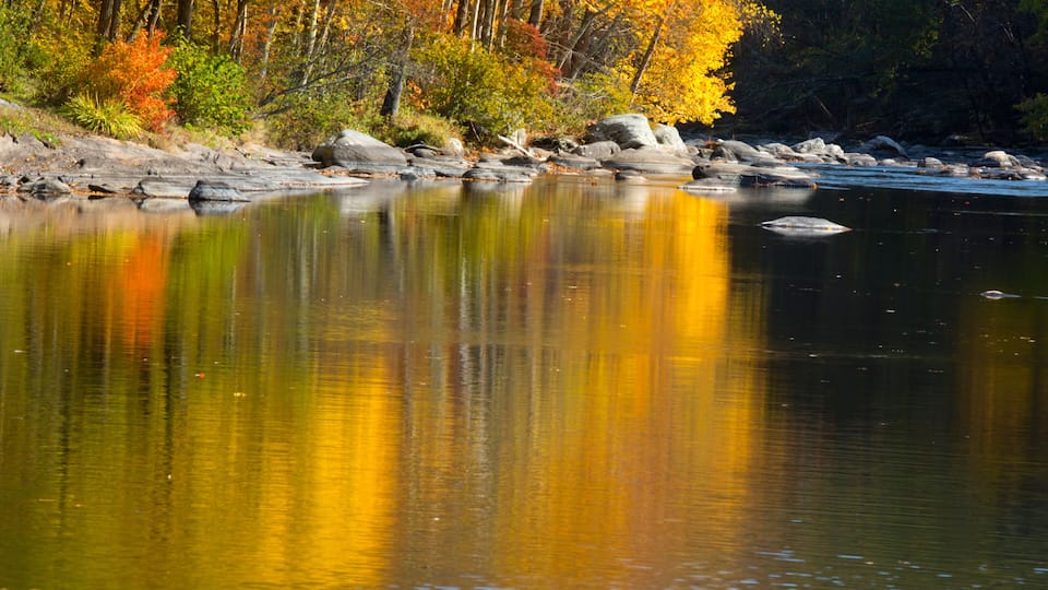 Vivid fall foliage reflects on the Farmington River, Canton, Connecticut.