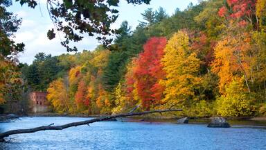 Bright fall foliage and old mill on the Farmington River in Canton, Connecticut.