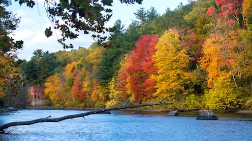 Bright fall foliage and old mill on the Farmington River in Canton, Connecticut.