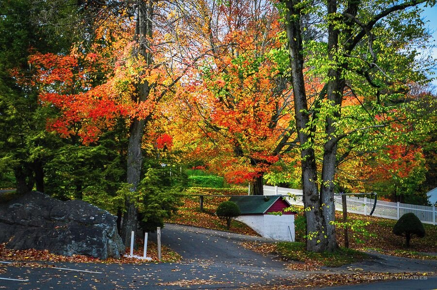 A residential area with autumn foliage, a white picket fence, and a red house.