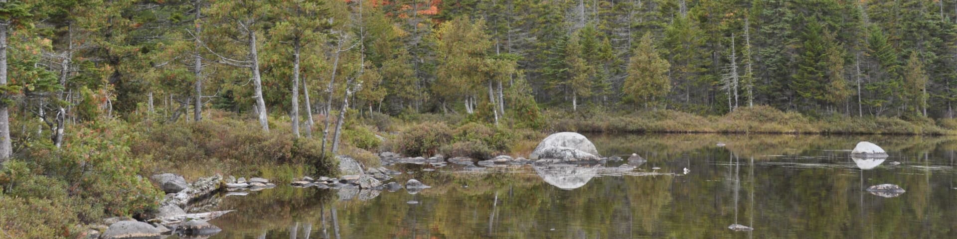 Misty Mountains of Baxter State Park
