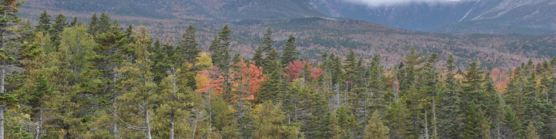 Misty Mountains of Baxter State Park