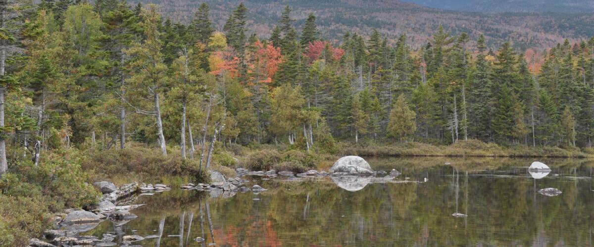 A lake surrounded by autumn-colored trees and mountains in the background.