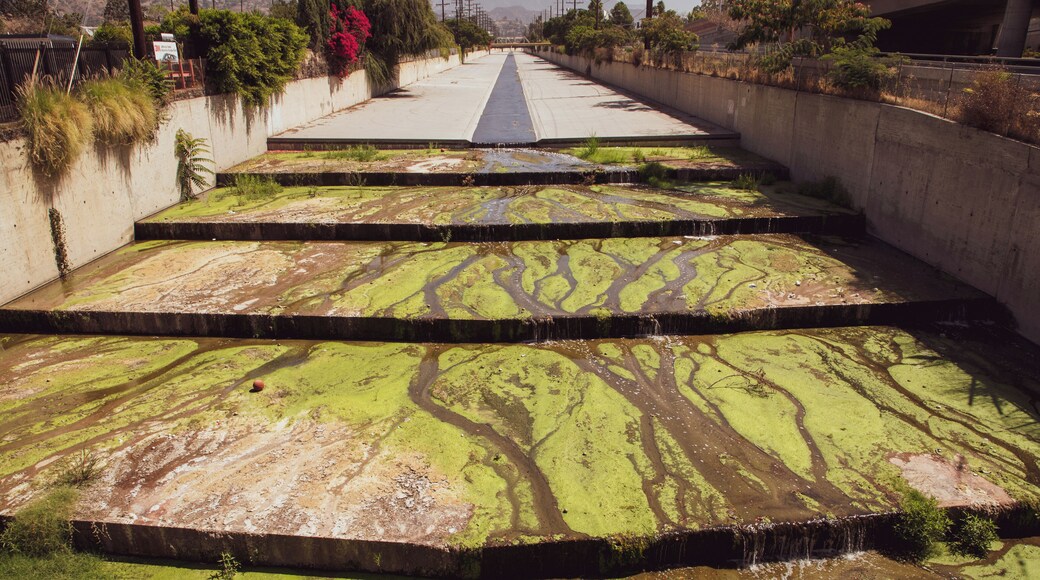 The Los Angeles River, such iconic scenes in so many movies, I had to go and explore and see it for myself.
Verdugo Wash is a 9.4-mile-long (15.1 km) tributary of the Los Angeles River, in the Glendale area of Los Angeles County, California.
The stream begins just south of Interstate 210 in the Crescenta Valley. It flows southeast along the eastern edge of the Verdugo Mountains, then south through a pass between those mountains and the San Rafael Hills, and finally west to ultimately join the Los Angeles River just northeast of Griffith Park. Its entire path is located within the city of Glendale. With the exception of the free-flowing stream inside the Verdugo Wash Debris Basin Dam, Verdugo Wash is entirely encased in a concrete flood control channel.