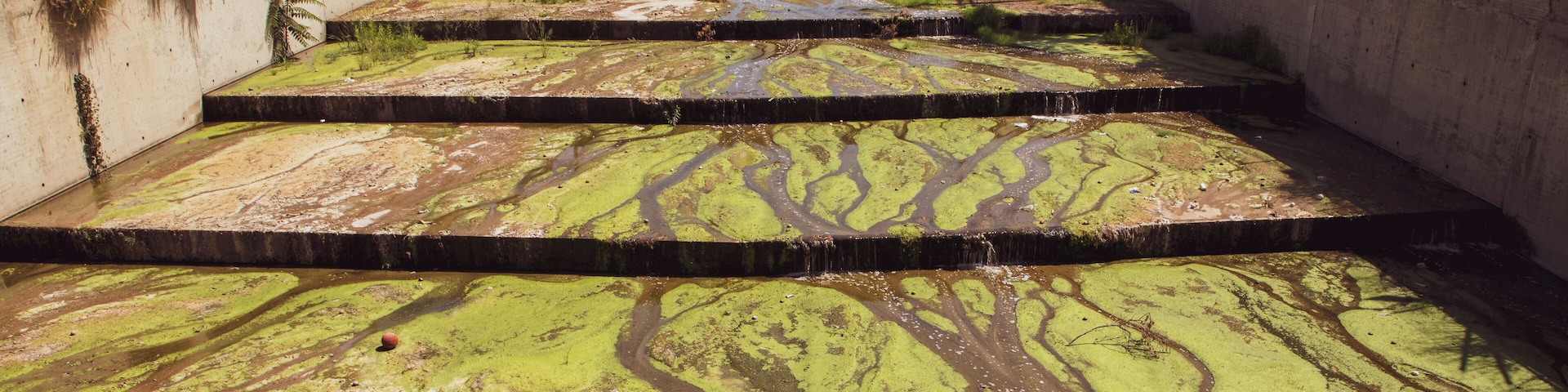 The Los Angeles River, such iconic scenes in so many movies, I had to go and explore and see it for myself.
Verdugo Wash is a 9.4-mile-long (15.1 km) tributary of the Los Angeles River, in the Glendale area of Los Angeles County, California.
The stream begins just south of Interstate 210 in the Crescenta Valley. It flows southeast along the eastern edge of the Verdugo Mountains, then south through a pass between those mountains and the San Rafael Hills, and finally west to ultimately join the Los Angeles River just northeast of Griffith Park. Its entire path is located within the city of Glendale. With the exception of the free-flowing stream inside the Verdugo Wash Debris Basin Dam, Verdugo Wash is entirely encased in a concrete flood control channel.