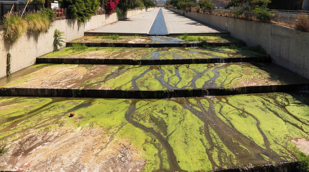 The Los Angeles River, such iconic scenes in so many movies, I had to go and explore and see it for myself.
Verdugo Wash is a 9.4-mile-long (15.1 km) tributary of the Los Angeles River, in the Glendale area of Los Angeles County, California.
The stream begins just south of Interstate 210 in the Crescenta Valley. It flows southeast along the eastern edge of the Verdugo Mountains, then south through a pass between those mountains and the San Rafael Hills, and finally west to ultimately join the Los Angeles River just northeast of Griffith Park. Its entire path is located within the city of Glendale. With the exception of the free-flowing stream inside the Verdugo Wash Debris Basin Dam, Verdugo Wash is entirely encased in a concrete flood control channel.