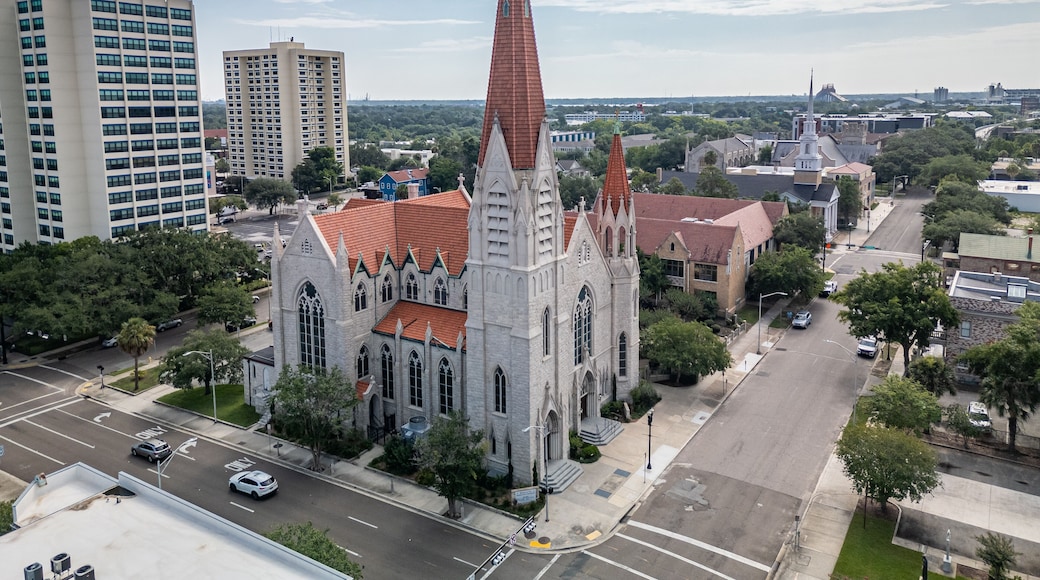 cathedral district, jacksonville, fl