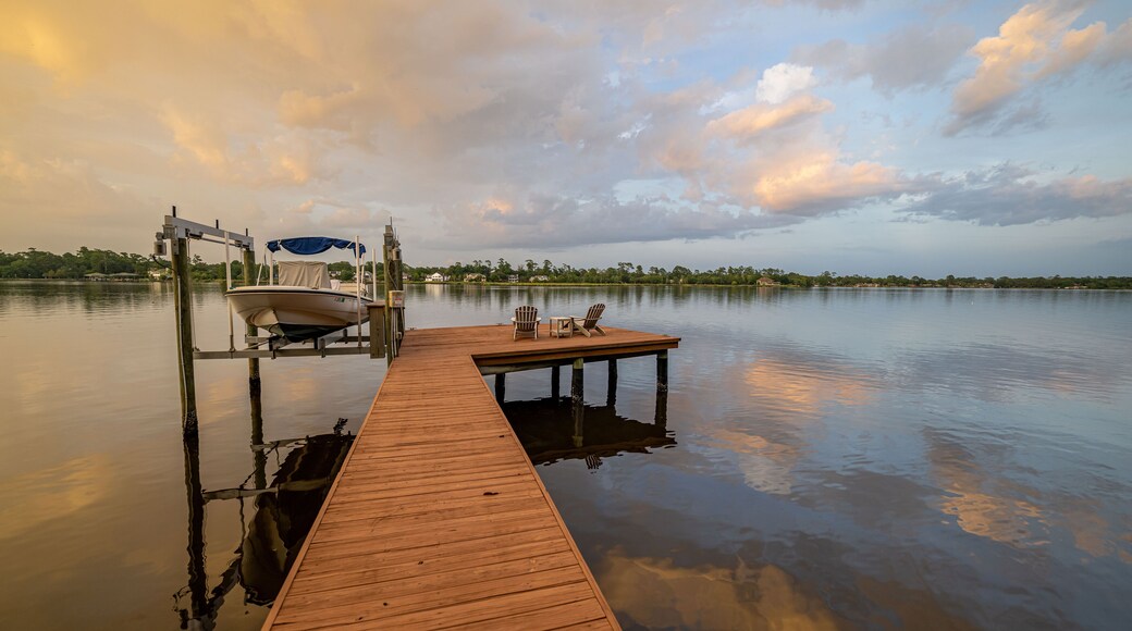 ออร์เตกา