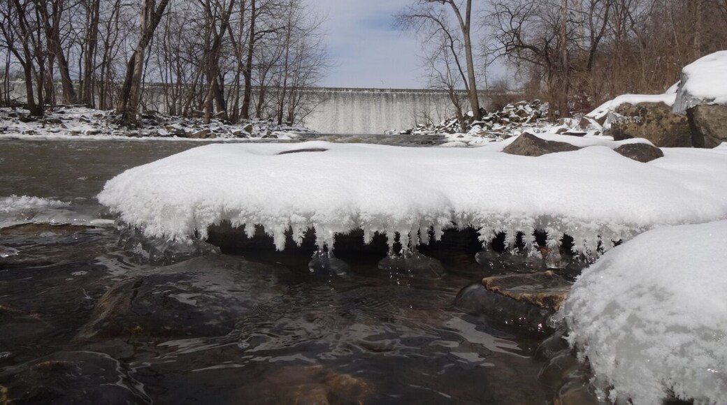 Looking north towards Griggs dam, a close up of snow crystals forming on the shore of the Scioto River.
#snow