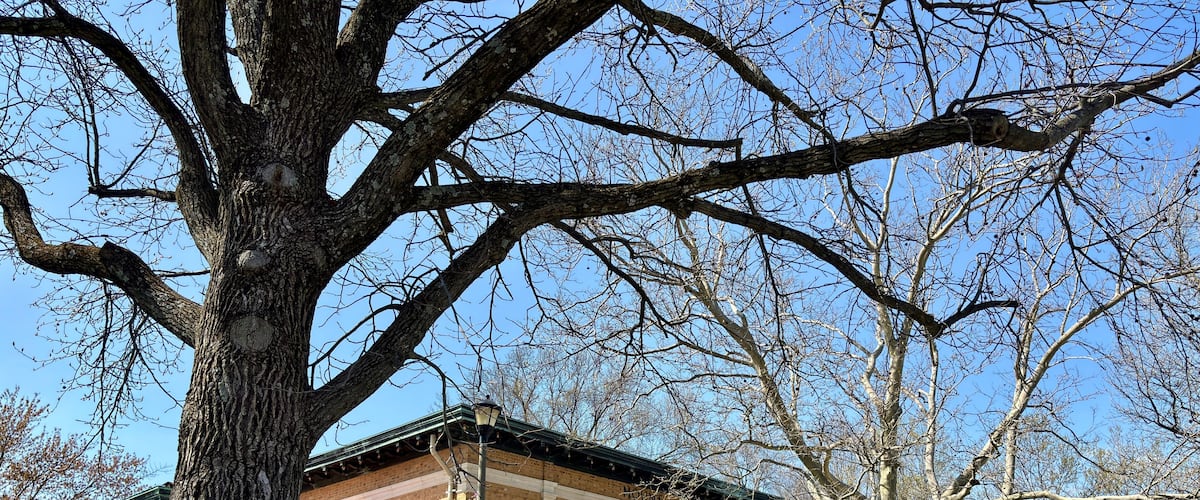 Historic brick pavilion with arched columns in early spring park