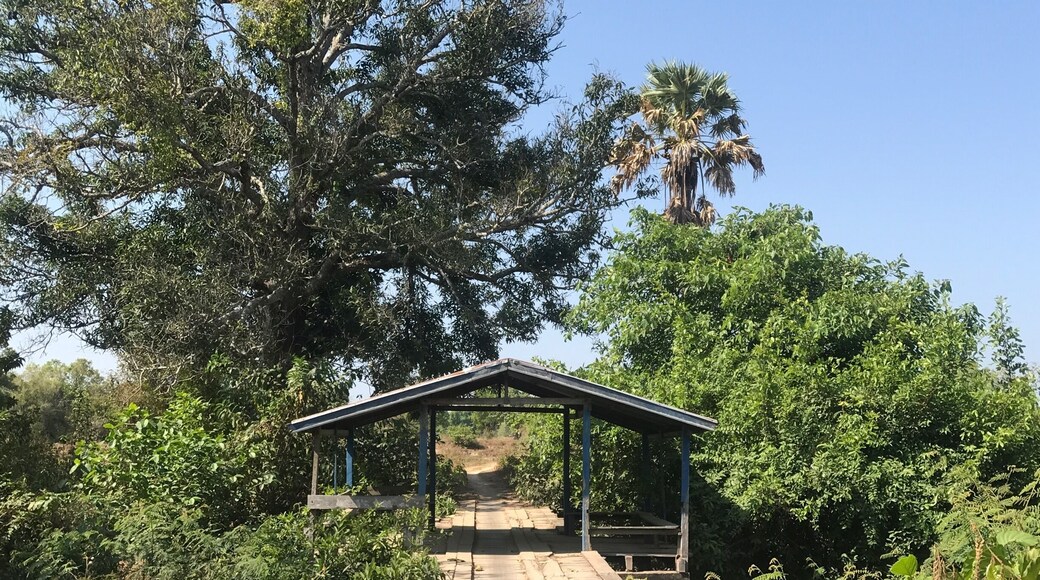 Resthouse in the middle of bridge.