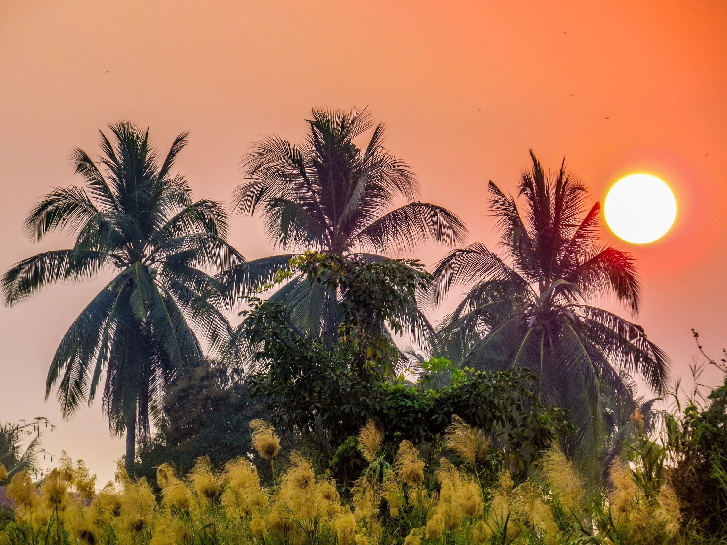 Sunset in 4000 Islands, Laos