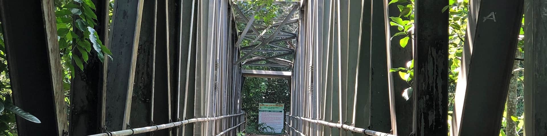One of the many bridges inside the rainforest