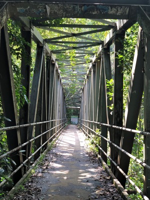 One of the many bridges inside the rainforest