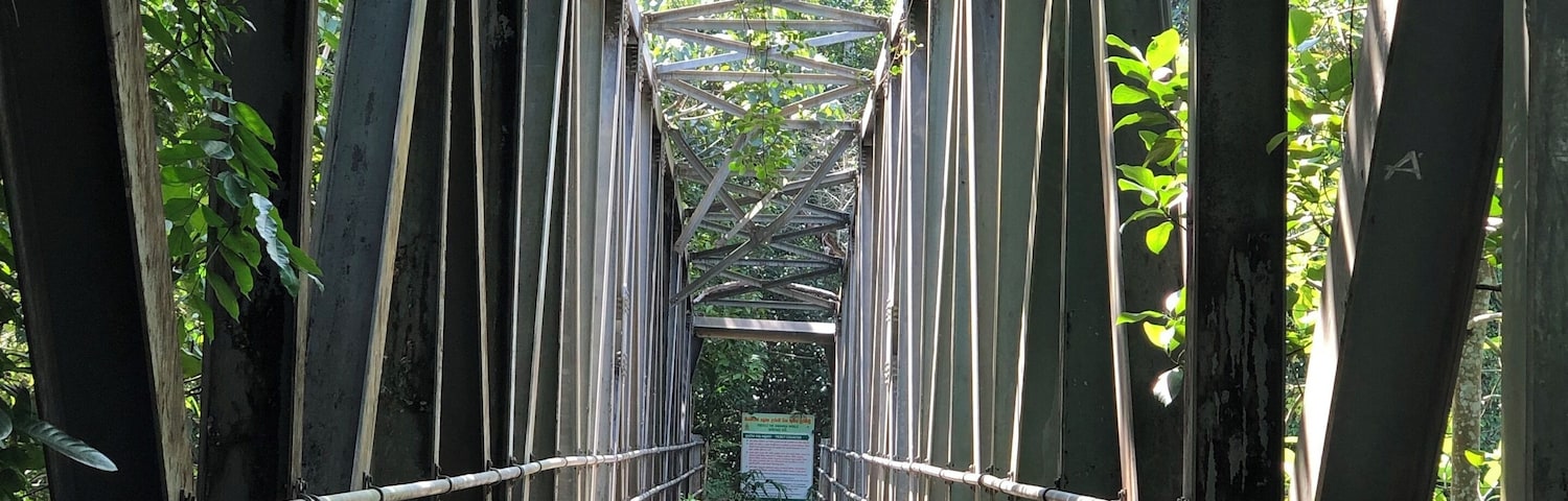 One of the many bridges inside the rainforest
