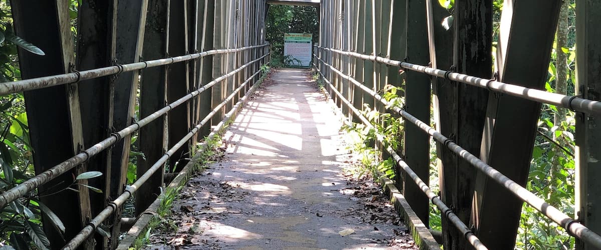 A narrow pedestrian bridge with metal railings and a concrete path, surrounded by dense greenery.