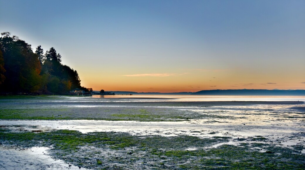 Dash Point State Park is in Washington state and located on the Puget Sound, between Tacoma and Seattle. It’s a beautiful park that offers camping, picnic sites, forested hiking trails and more than 3,300 feet of shoreline directly on the sound. #GreatOutdoors #Nature