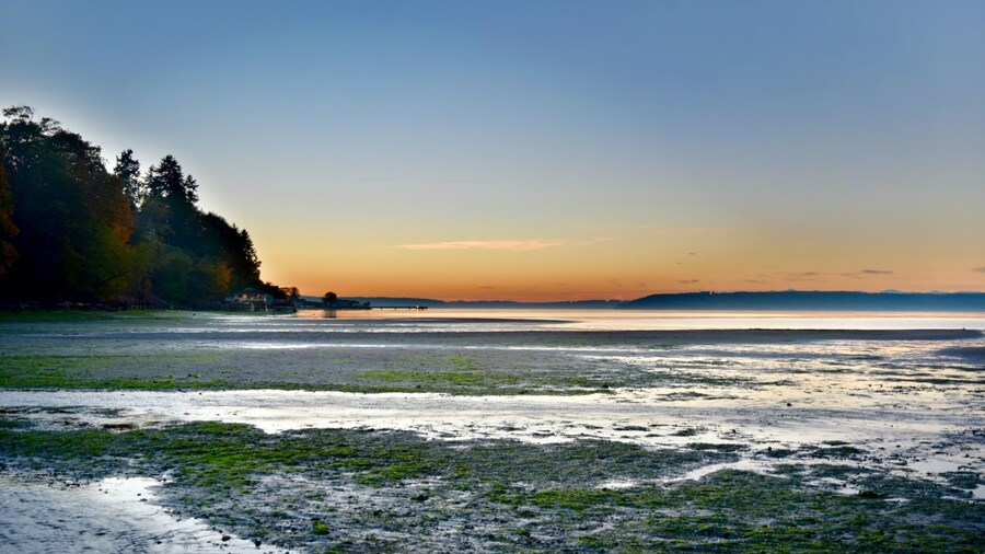 Dash Point State Park is in Washington state and located on the Puget Sound, between Tacoma and Seattle. It’s a beautiful park that offers camping, picnic sites, forested hiking trails and more than 3,300 feet of shoreline directly on the sound. #GreatOutdoors #Nature