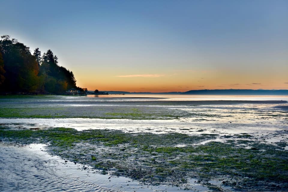 A coastal landscape with a calm sea, a sandy shore, and a forested hill in the background.