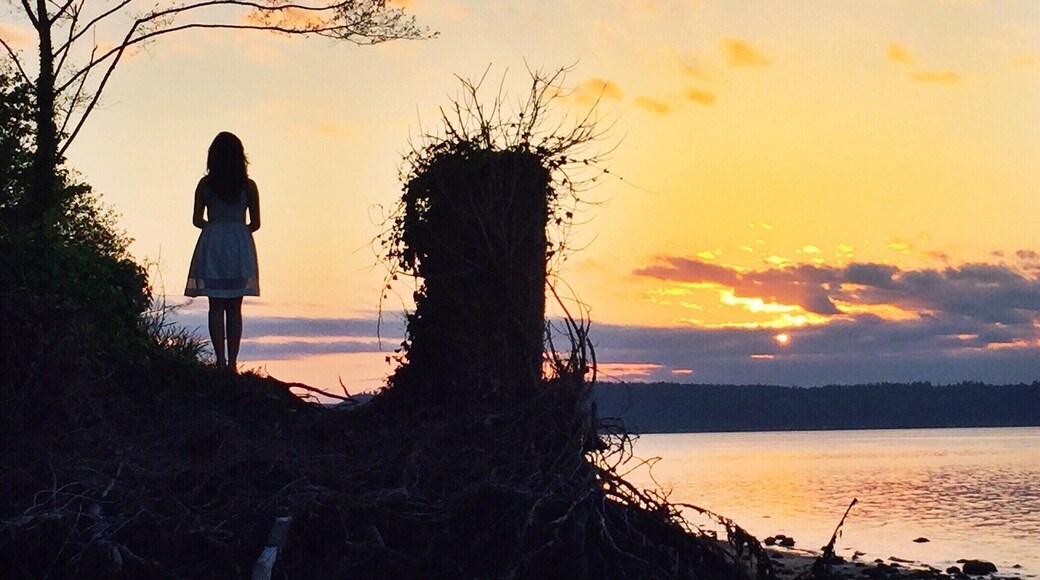 Silhouette. #goldenhour