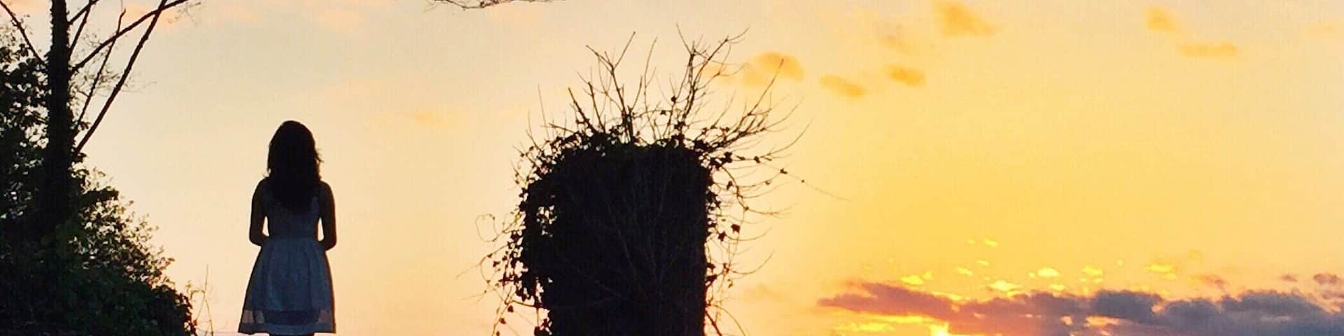 Silhouette. #goldenhour