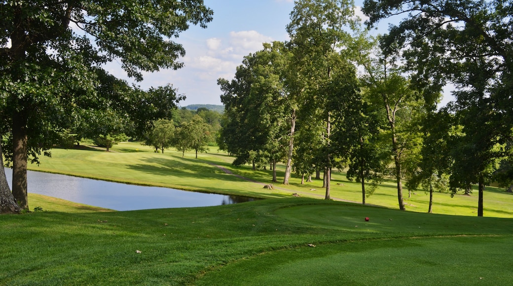 Virginia Golf Course