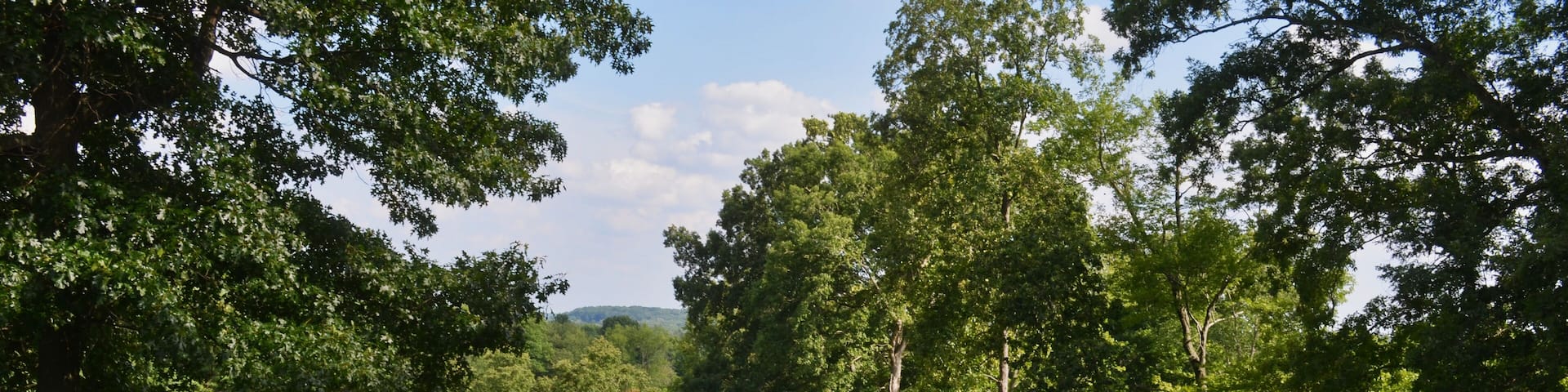 Parkland Golf Course with Tee and Fairway and Green in Virginia