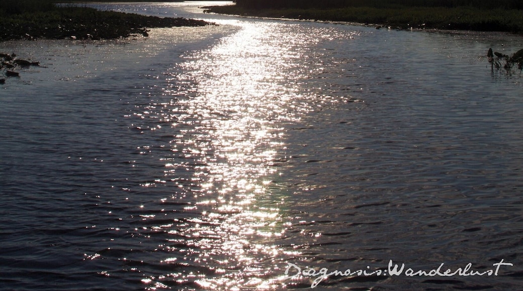 Boating out to this lake is one of my favorite things. The channel from Bennett Lake to Hoisington is a natural wetland, quiet, peaceful, beautiful and visited every year by hundreds of sandhill cranes. Our own little slice of heaven!
Thank you @Trover for featuring us as your latest #TopTrover!
#waterlust