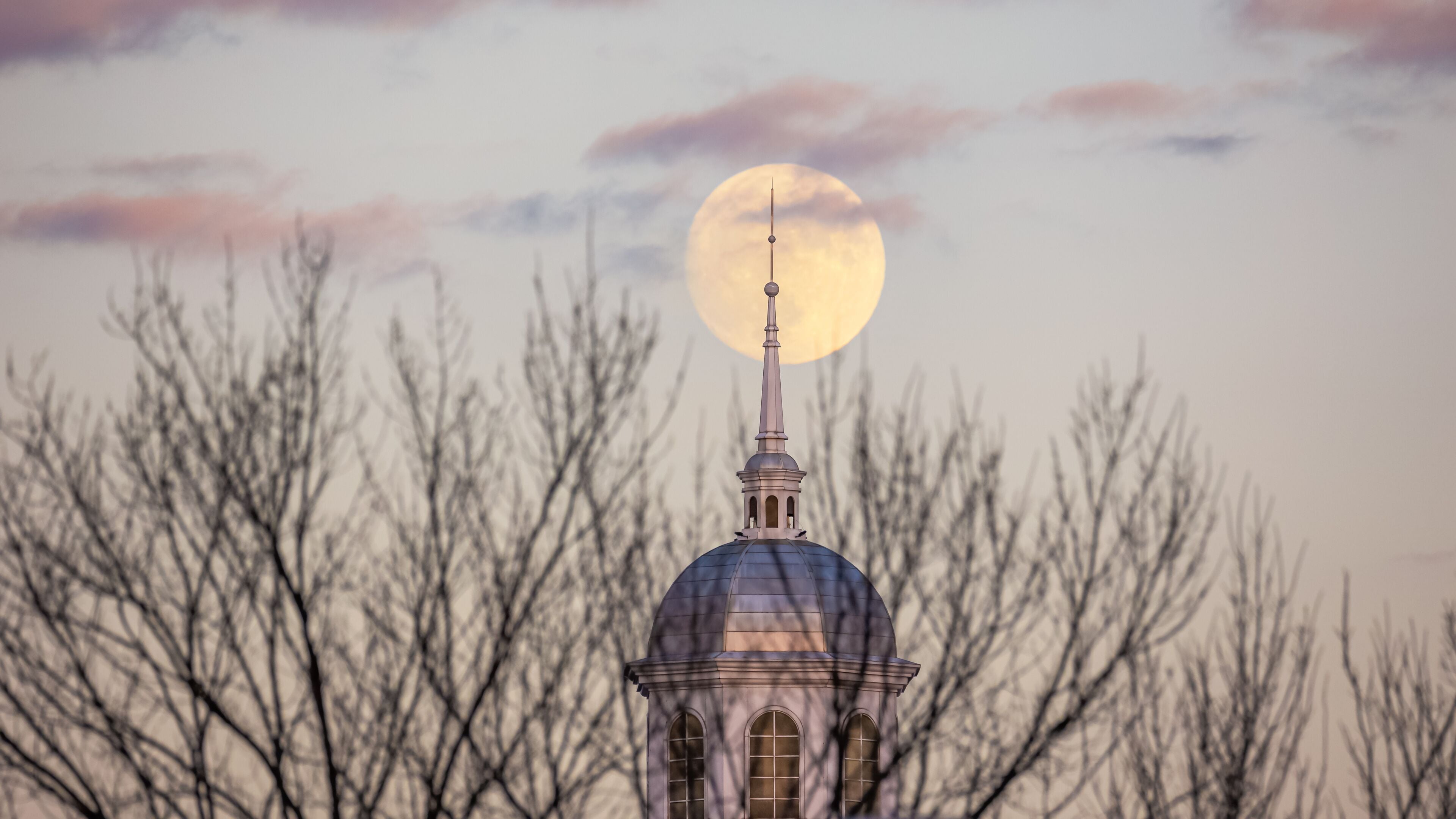 A church with a dome and spire, surrounded by bare trees, under a full moon.