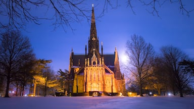 Uma igreja em estilo gótico com uma torre alta, rodeada por árvores cobertas de neve e um céu limpo.