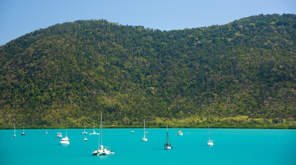 Shute Harbour which includes landscape views, general coastal views and sailing