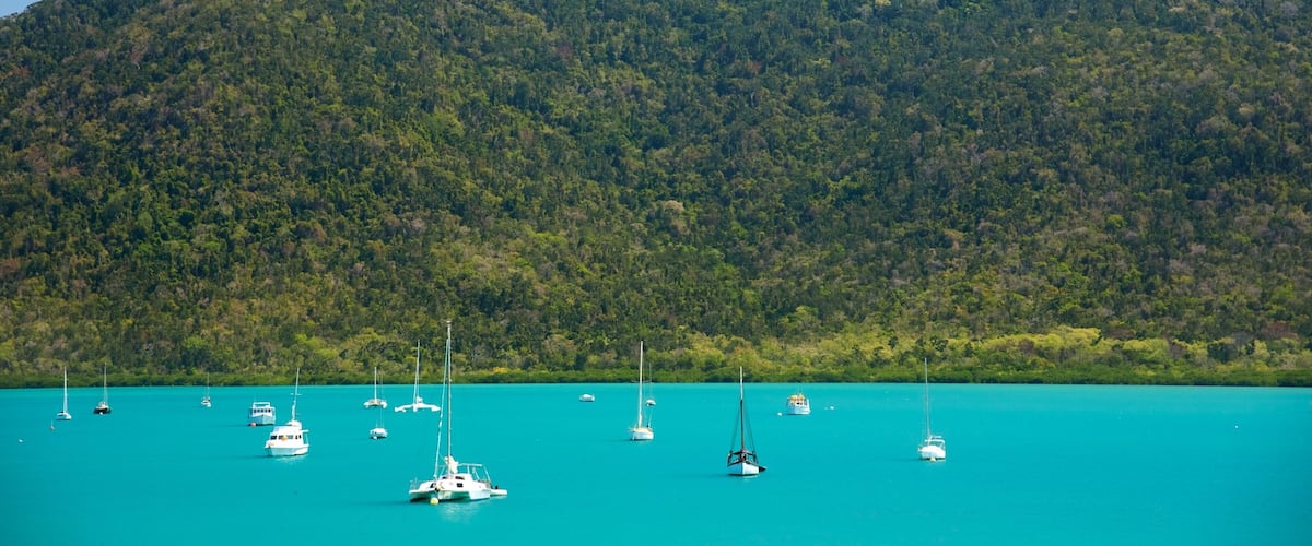 A turquoise sea with sailboats anchored in front of a forested mountain.