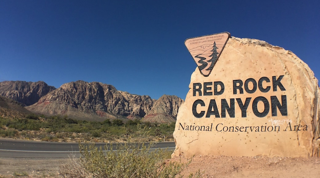 The Red Rock Canyon welcomes us!
#hiking