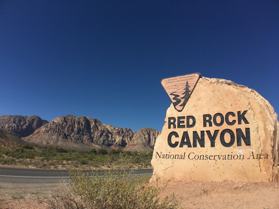The Red Rock Canyon welcomes us!
#hiking