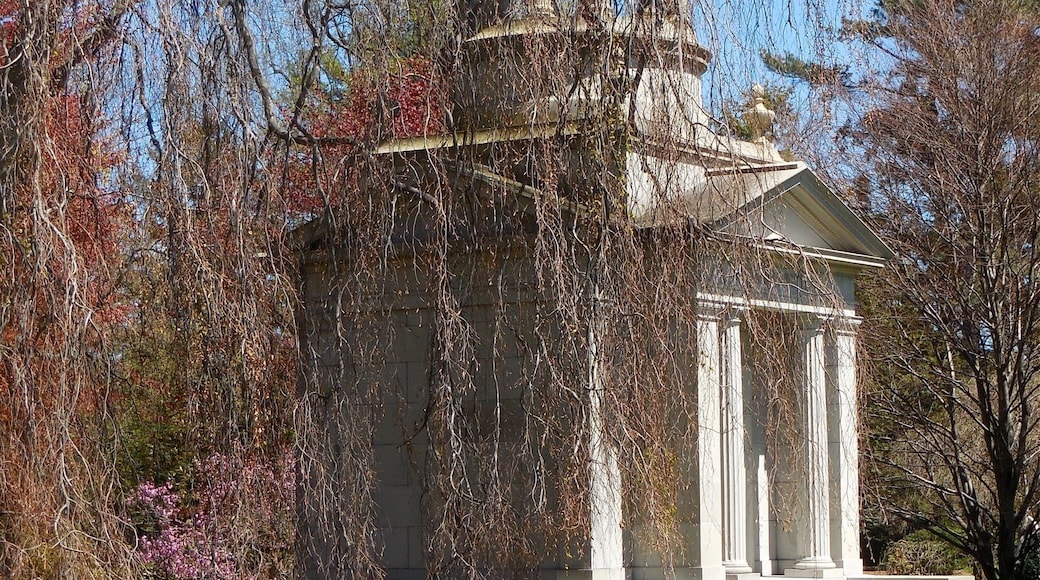 Mt. Auburn Cemetery in Cambridge, Massachusetts is a beautiful spot to see plantings, and bird life especially during spring migration. The gate opens at 6:30 am for birders. There is a smart phone audio tour available. Along with birds, and landscaping, there are an infinite variety of architectural gems.