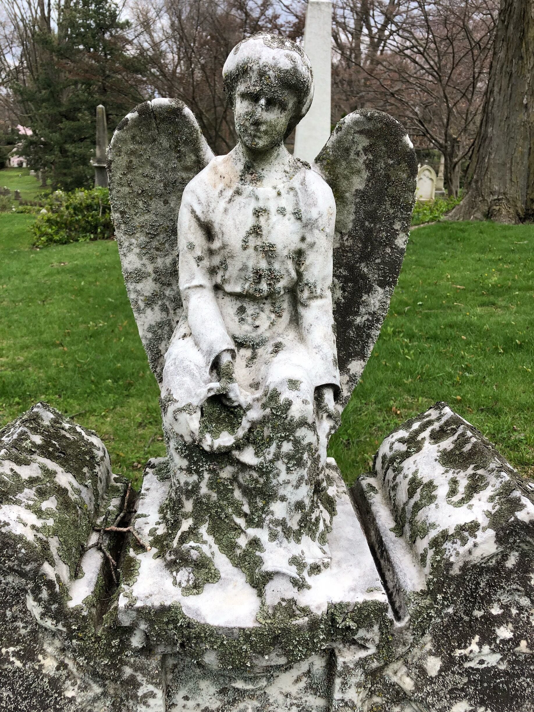 MountbAuburn Cemetery, Cambridge MA 