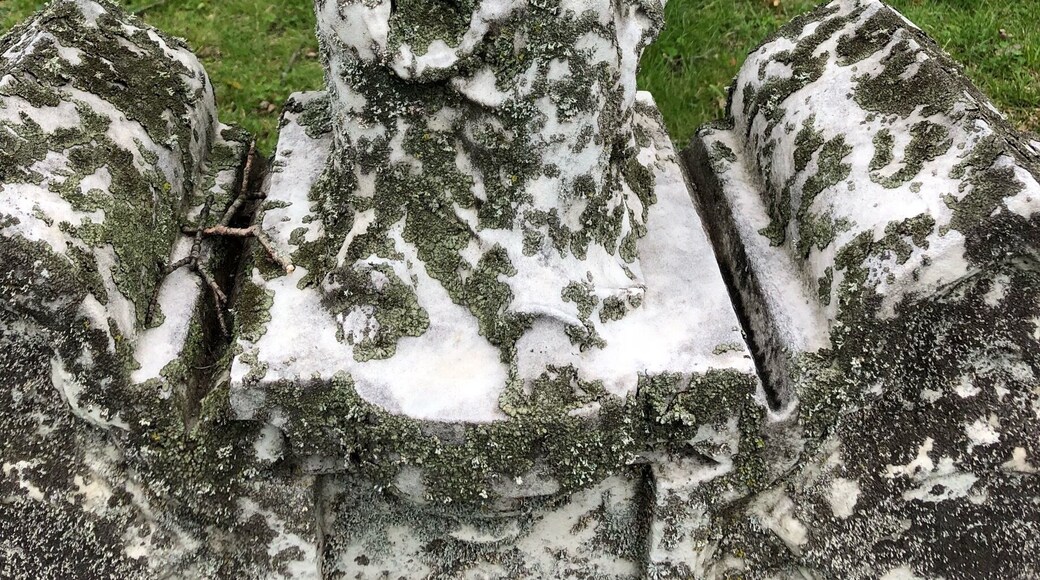 MountbAuburn Cemetery, Cambridge MA