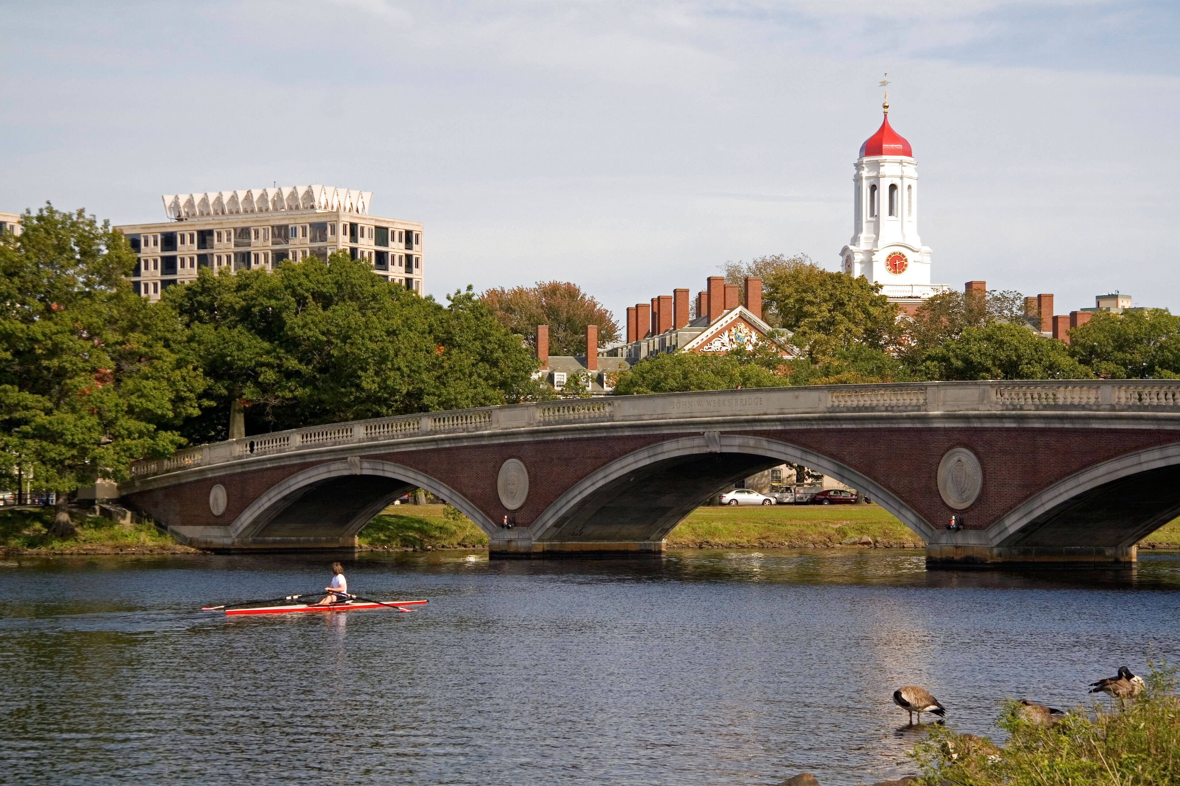 A bridge over a river with a person rowing a boat, a red-roofed tower, and buildings in the background.