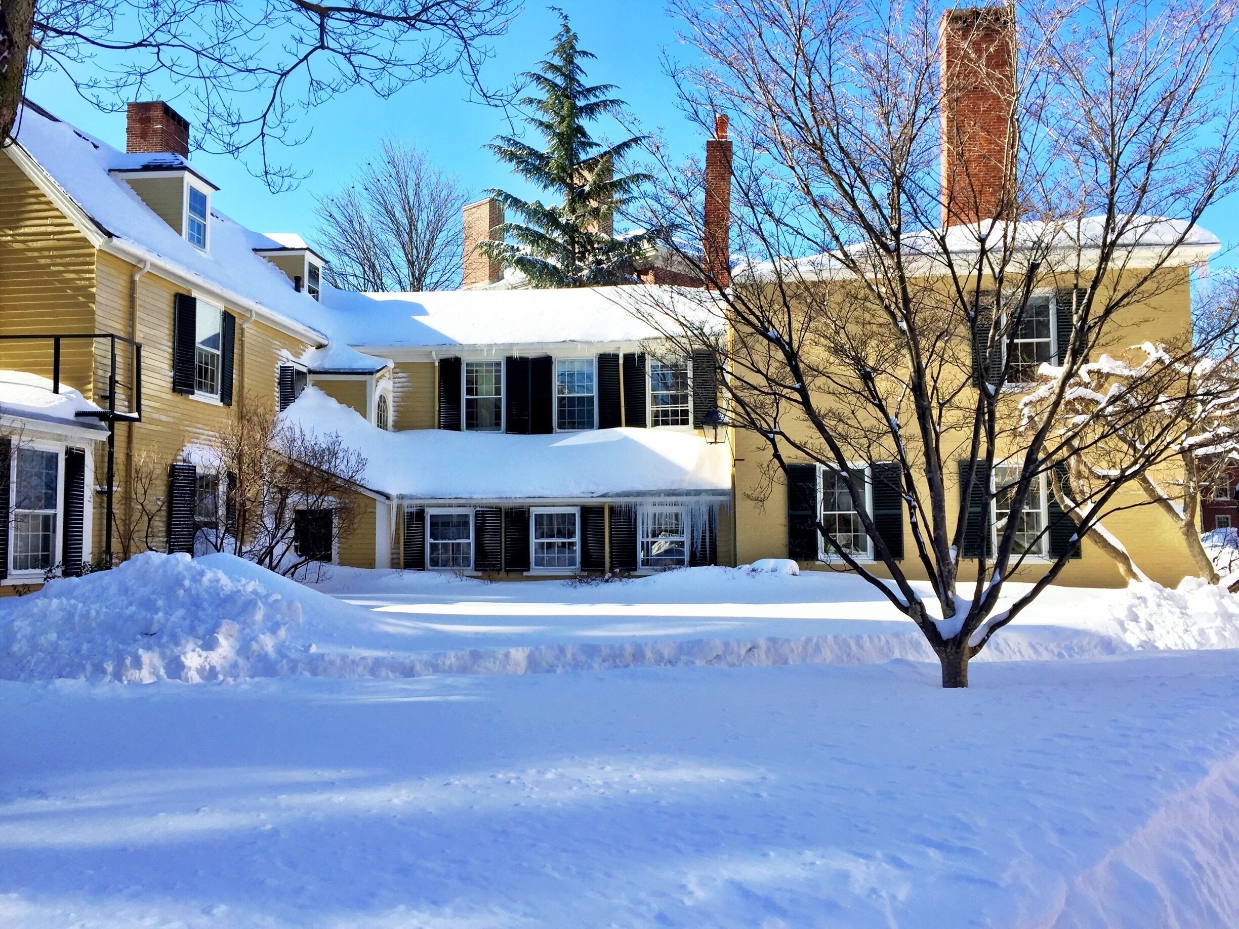 A snow-covered residential area with houses, a tree, and a clear blue sky.