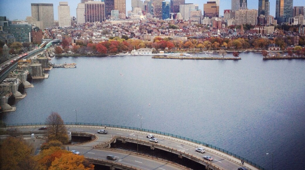 The view from my brother's office.