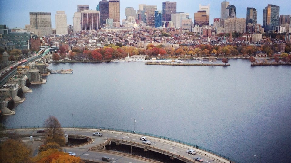 The view from my brother's office.