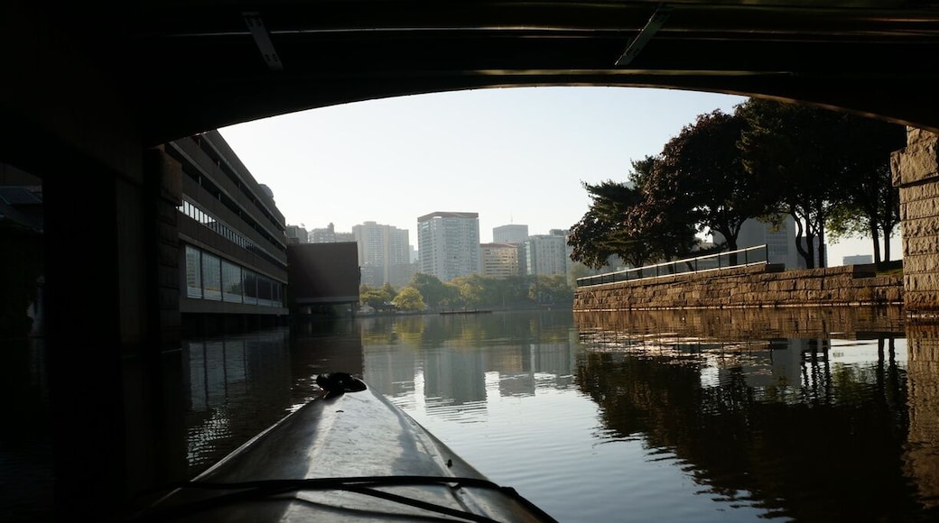 'Yakin' on Boston's Charles River!