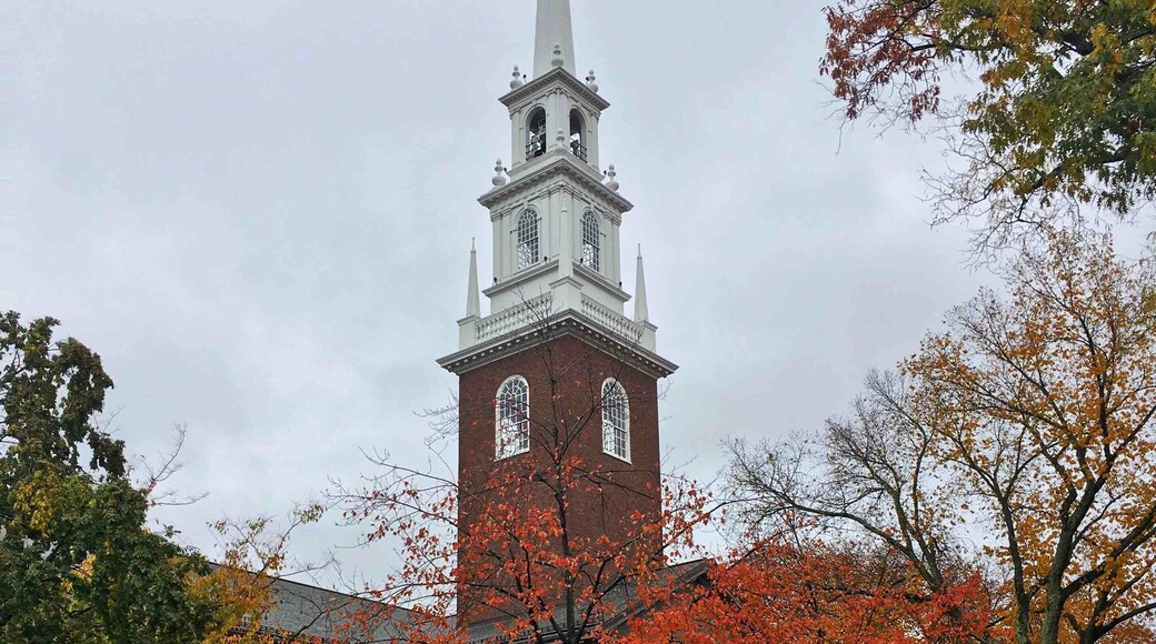 Happy Harvard in the fall