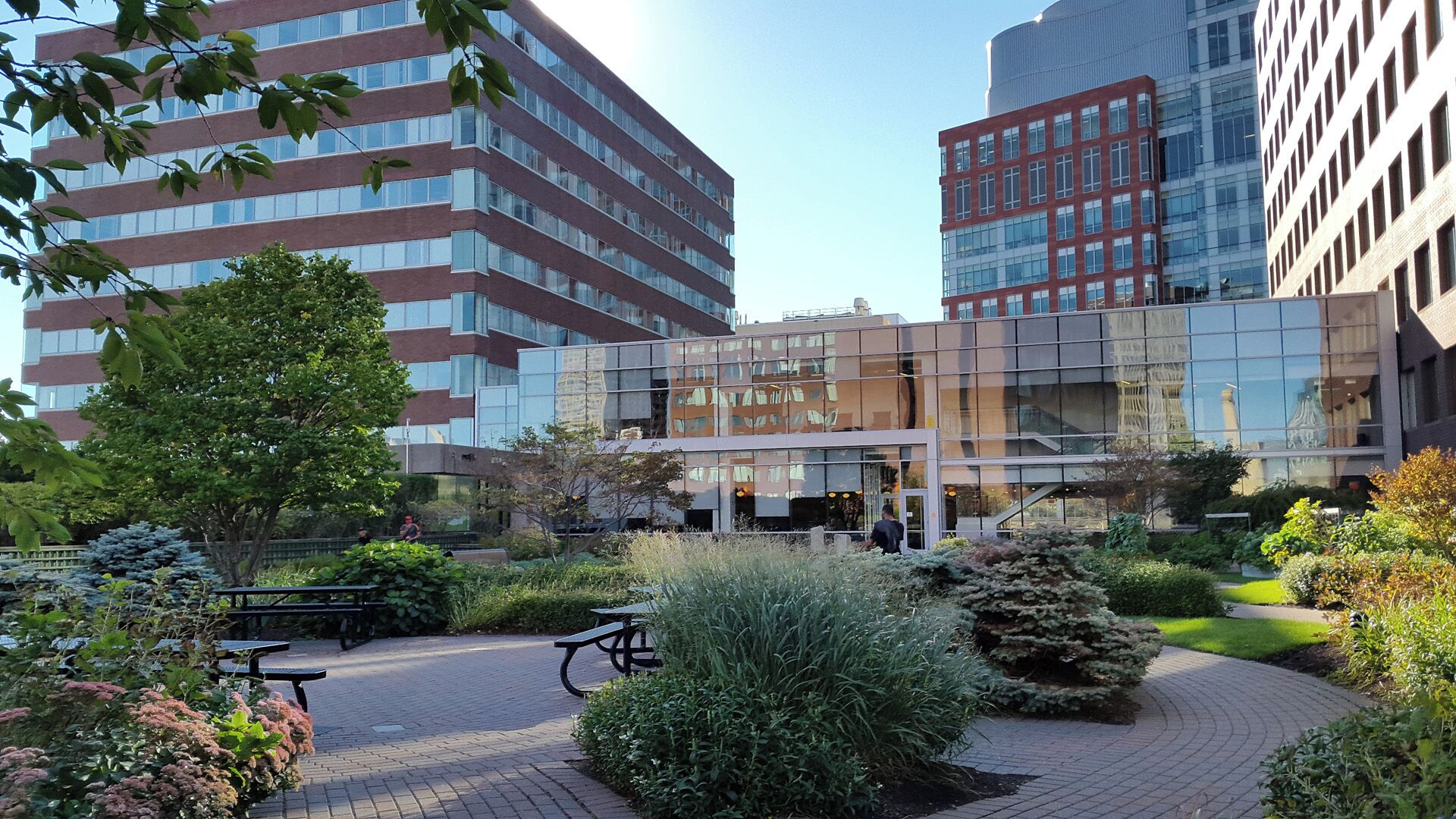 Excelente para descansar Jardín ubicado en el techo de un parqueadero en la ciudad de Boston, Massachusetts, USA